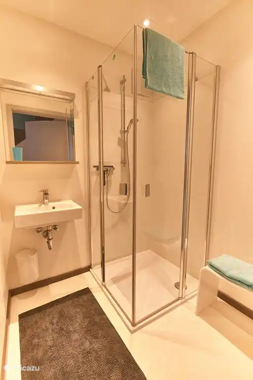 Salle de douche au rez-de-chaussée