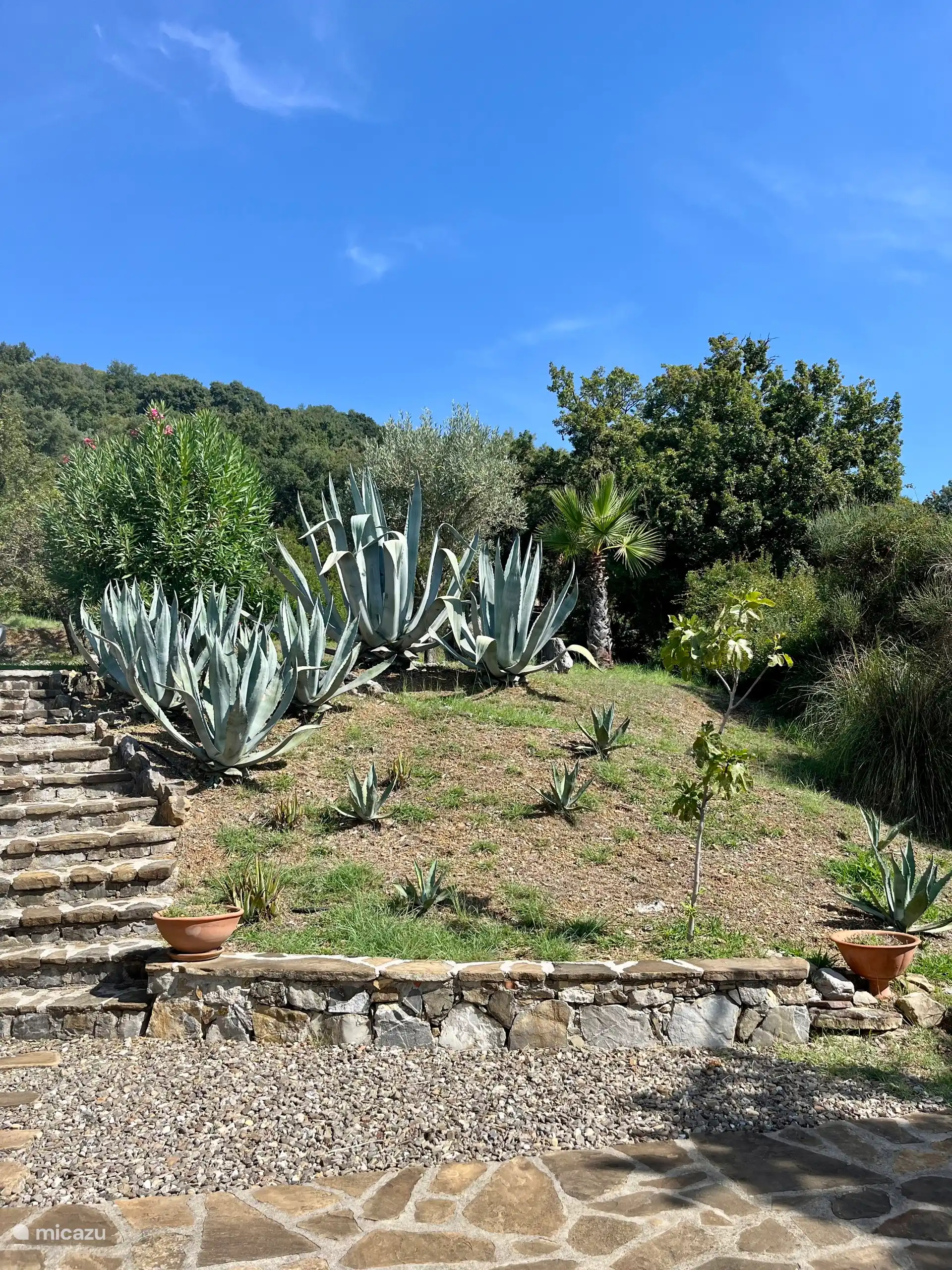 Escaleras y parte del jardín.