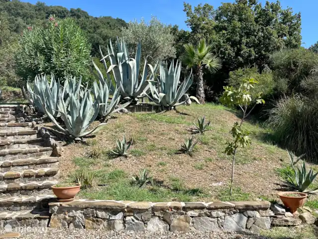 Verricchi Pantano | Italie, Campanie, Ispani - maison de vacances Escalier et une partie du jardin.