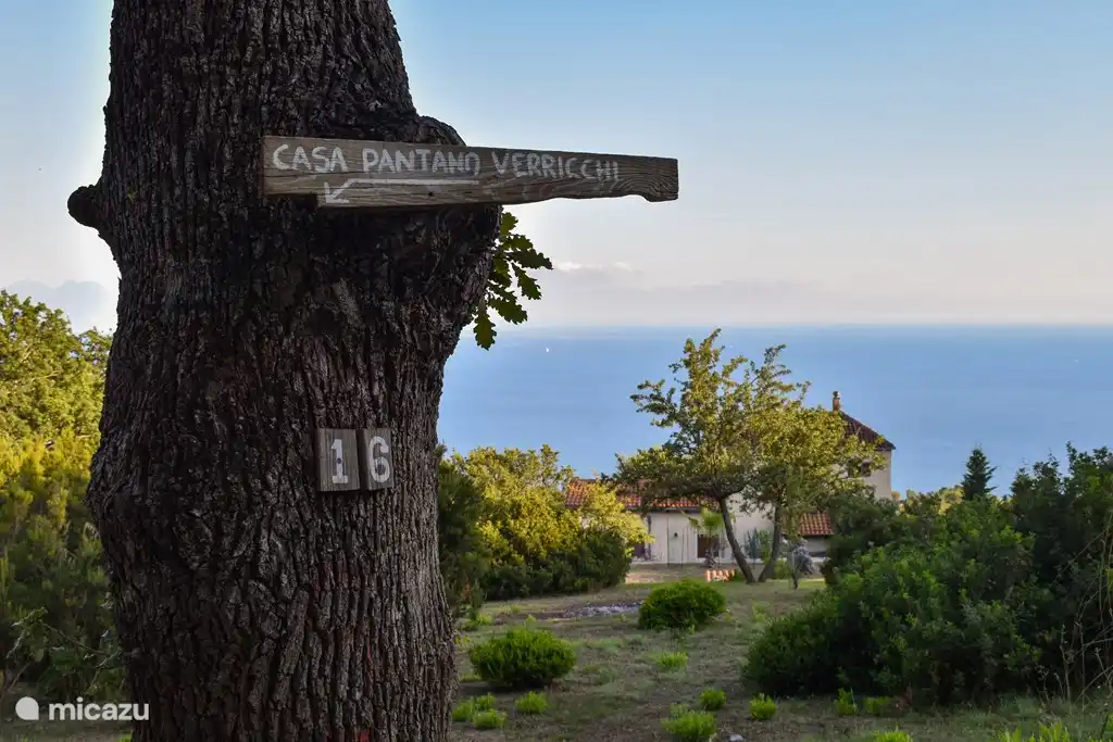 Pantano desde la carretera de arriba