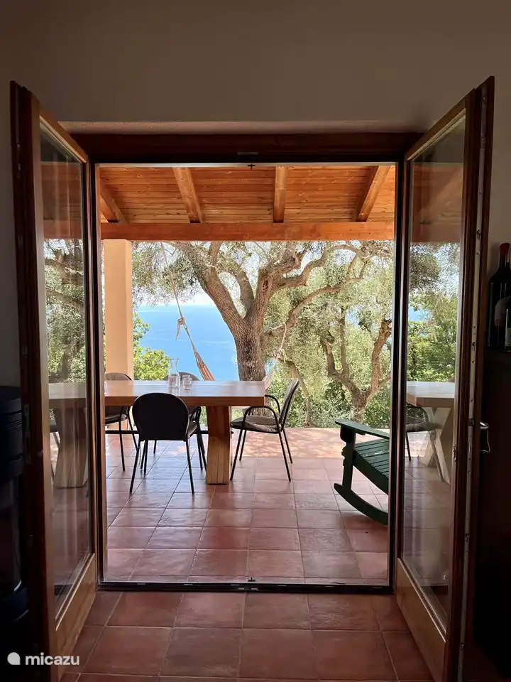 Vista de terraza, olivo y mar desde el salón.