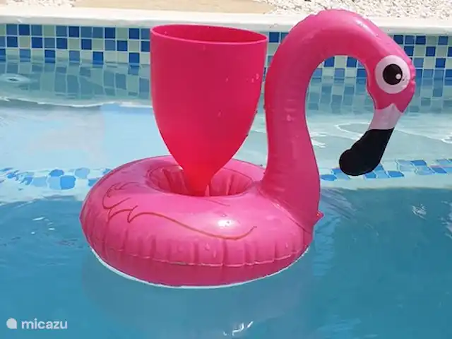Figlie Amano *Complexe Sécurisé* | Curaçao, Banda Abou (ouest), Fontein - villa Piscine