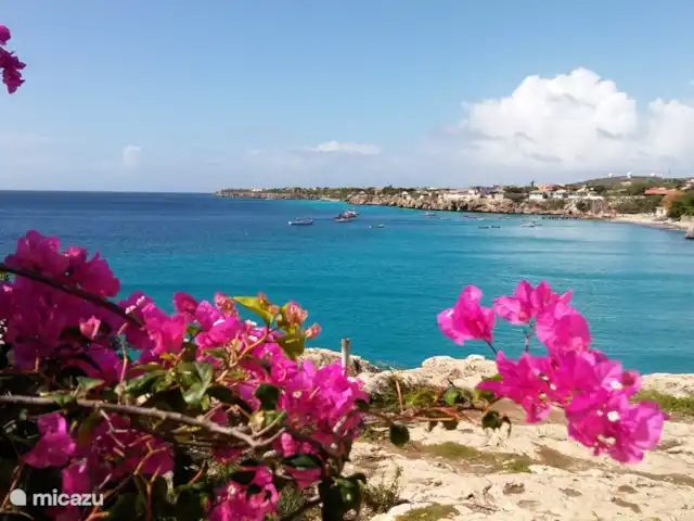 Figlie Amano *Complexe Sécurisé* | Curaçao, Banda Abou (ouest), Fontein - villa mer