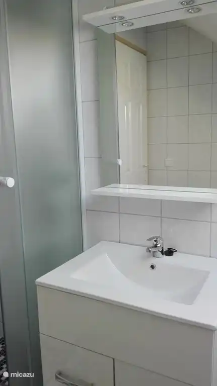 Cuarto de baño con ducha, inodoro, lavabo, claraboya disponible.