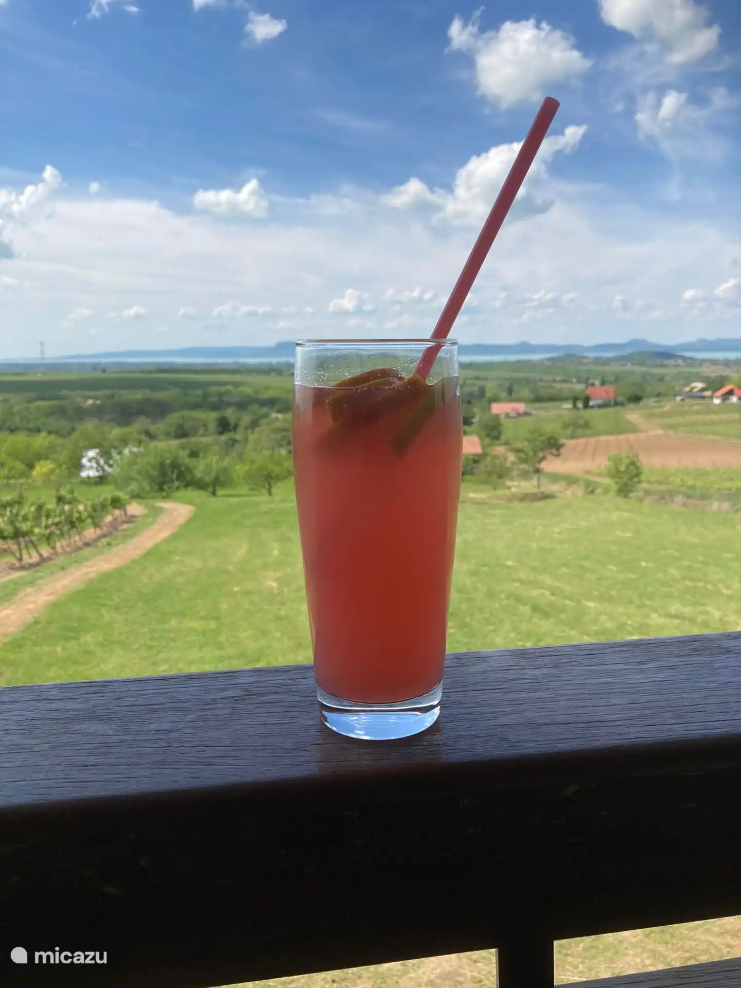Una limonada casera en un restaurante con vista al lago Balaton en la distancia.