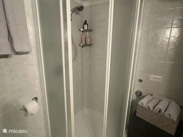 Casa Manuela | Italie, Lad Majeur, Porto Valtravaglia - maison de vacances Salle de bain au rez-de-chaussée avec douche, lavabo et toilettes