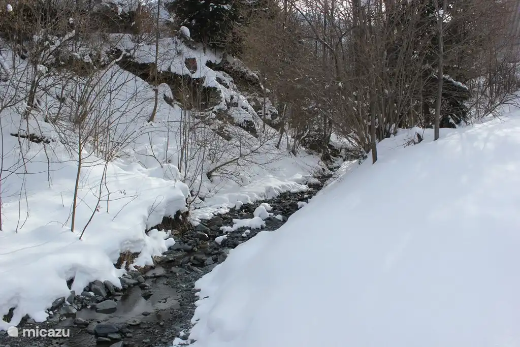 un joli ruisseau dans le jardin