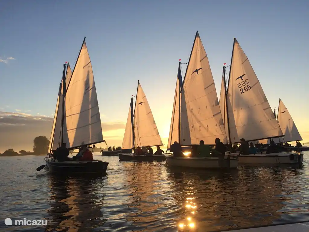 Ferienhaus De Thuiskamer in Niederlande, Friesland, Grouw - Ferienhaus