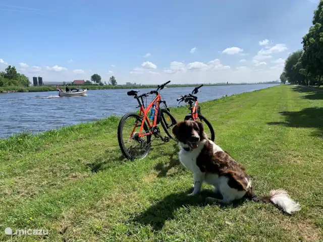 Location de Vacances Pays-Bas, Frise, Grouw, maison de vacances - Maison de vacances De Thuiskamer