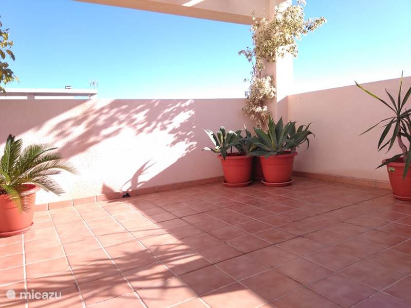 Ferienwohnung Spanien, Costa Blanca, El Campello Appartement Wohnung mit Solarium in Campello