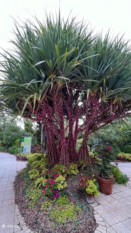 Botanischer Garten Neapel