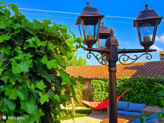 A Casa Cingoli Noce | Italie, Marche, Cingoli - appartement Vue atmosphérique du jardin Noce