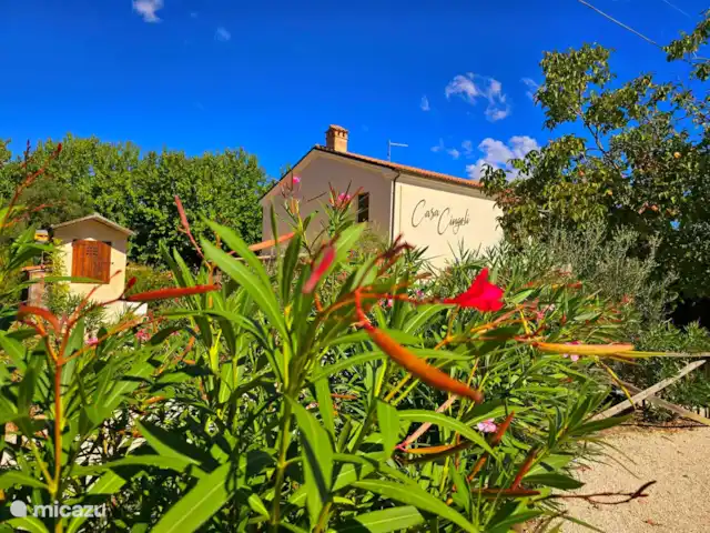 A Casa Cingoli Noce | Italie, Marche, Cingoli - appartement Casa Cingoli