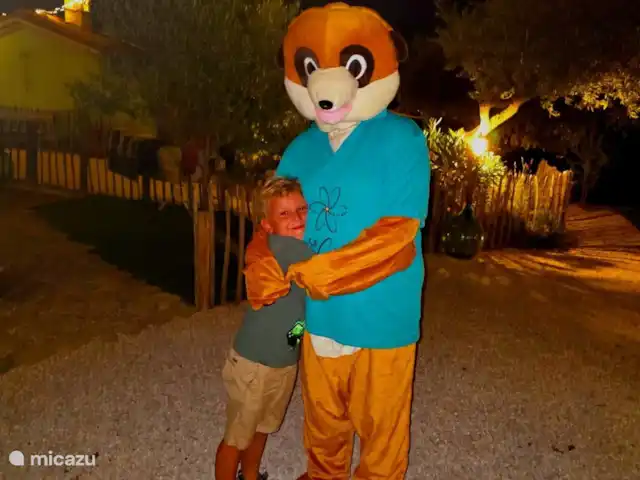 A Casa Cingoli Noce | Italie, Marche, Cingoli - appartement Padoe passe de temps en temps pour une séance photo ou un câlin, sympa !