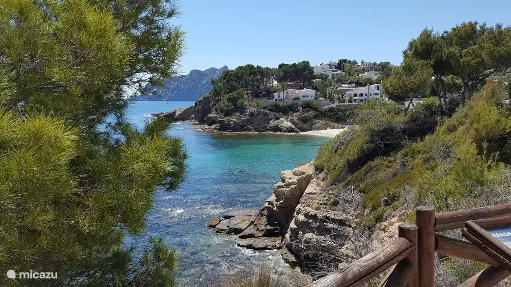 beach seen from below