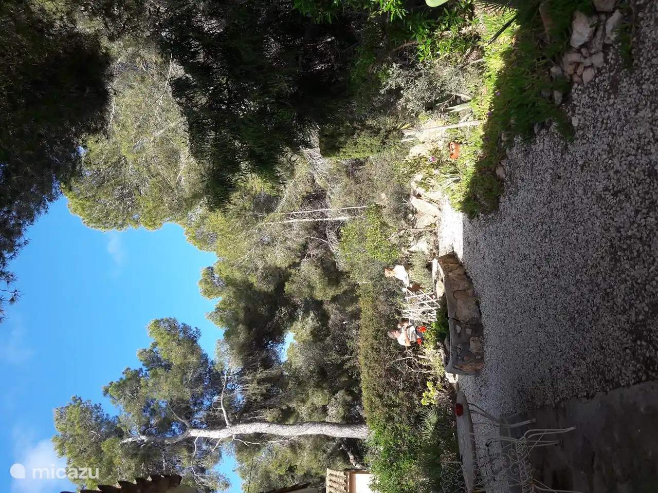 zen spot behind the house