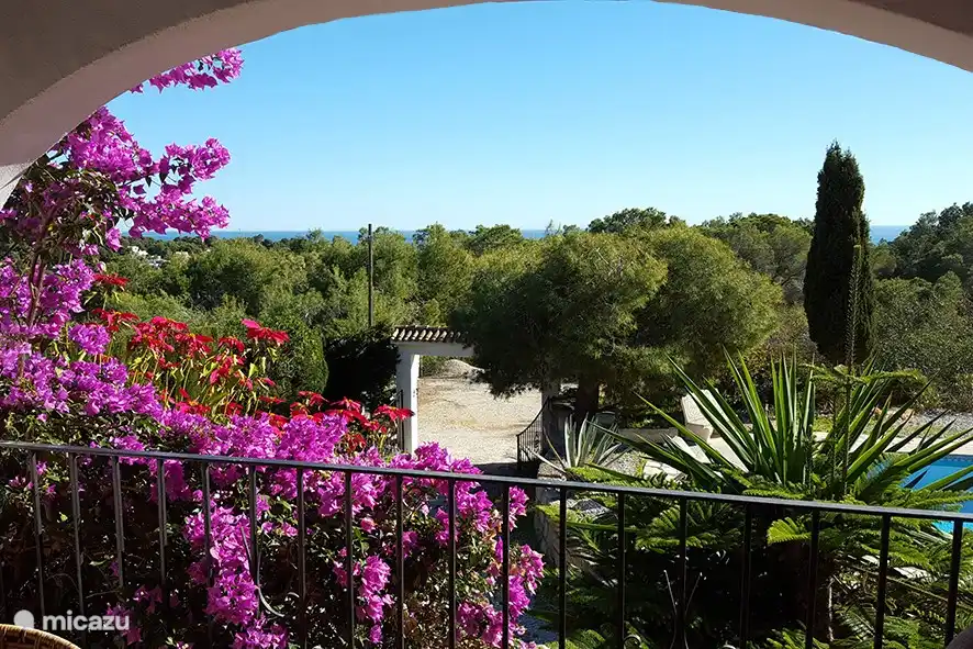 view from the veranda