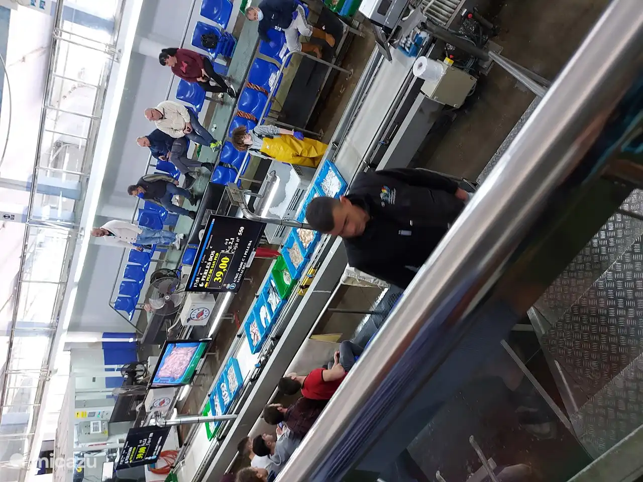 auction in calpe harbor of the fish from the boats