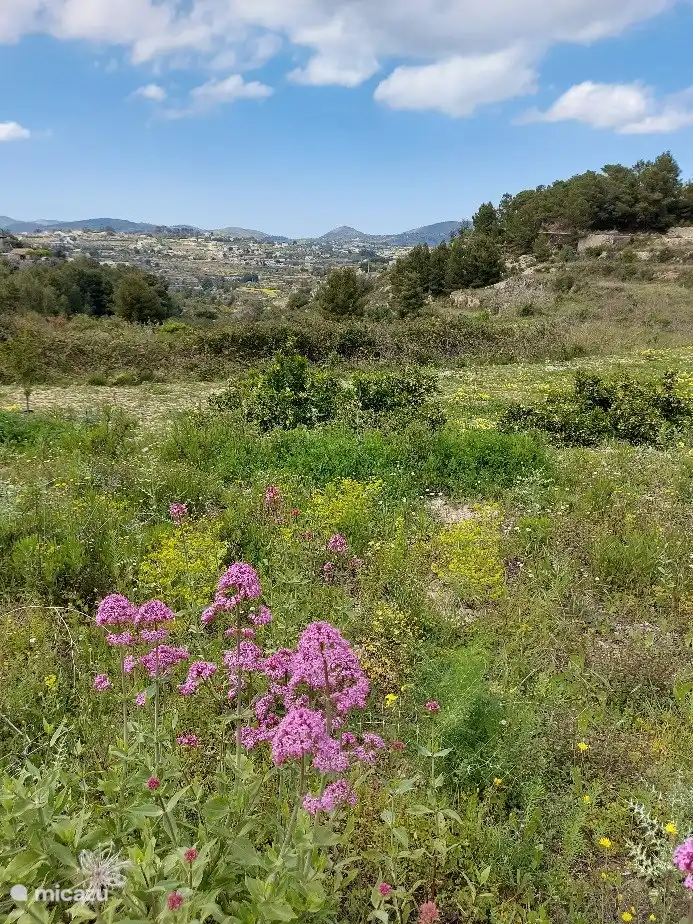 walking valley behind our house