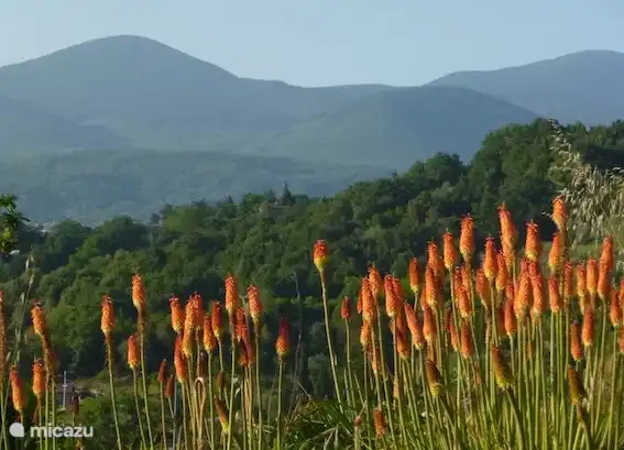 Het zicht op Monte Amiata
