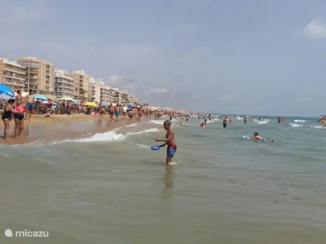 appartement huren in Spanje, Costa Blanca, Torrevieja – Casa Batala strand