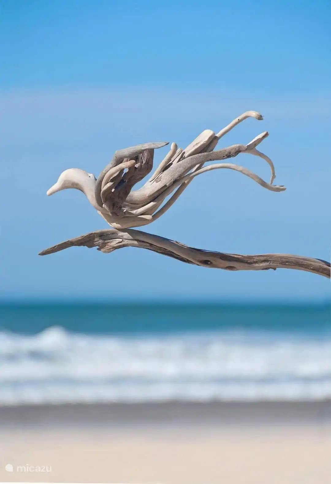 Drijfhout biedt prachtige mogelijkheden