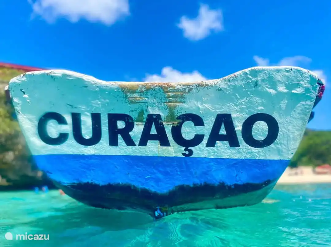 De kleuren waar je gedurende de Nederlandse wintermaanden zo naar verlangt