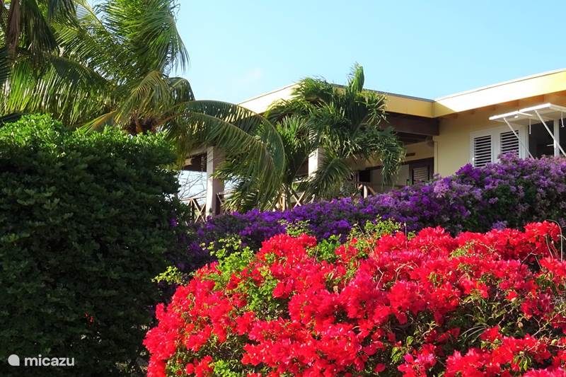 Vakantiehuis Curaçao, Curacao-Midden, Piscadera Villa Villa Witte Raaf