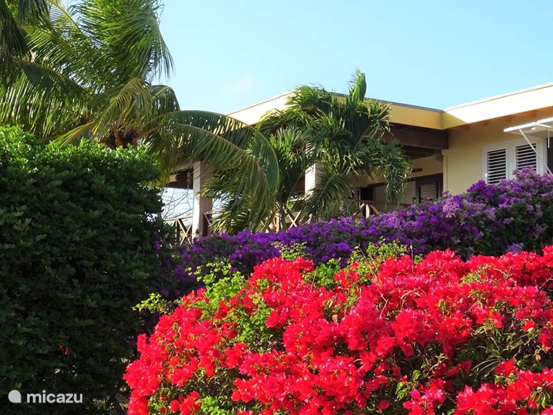 Ferienwohnung Curaçao, Curacao-Mitte, Piscadera Villa Villa White Raven