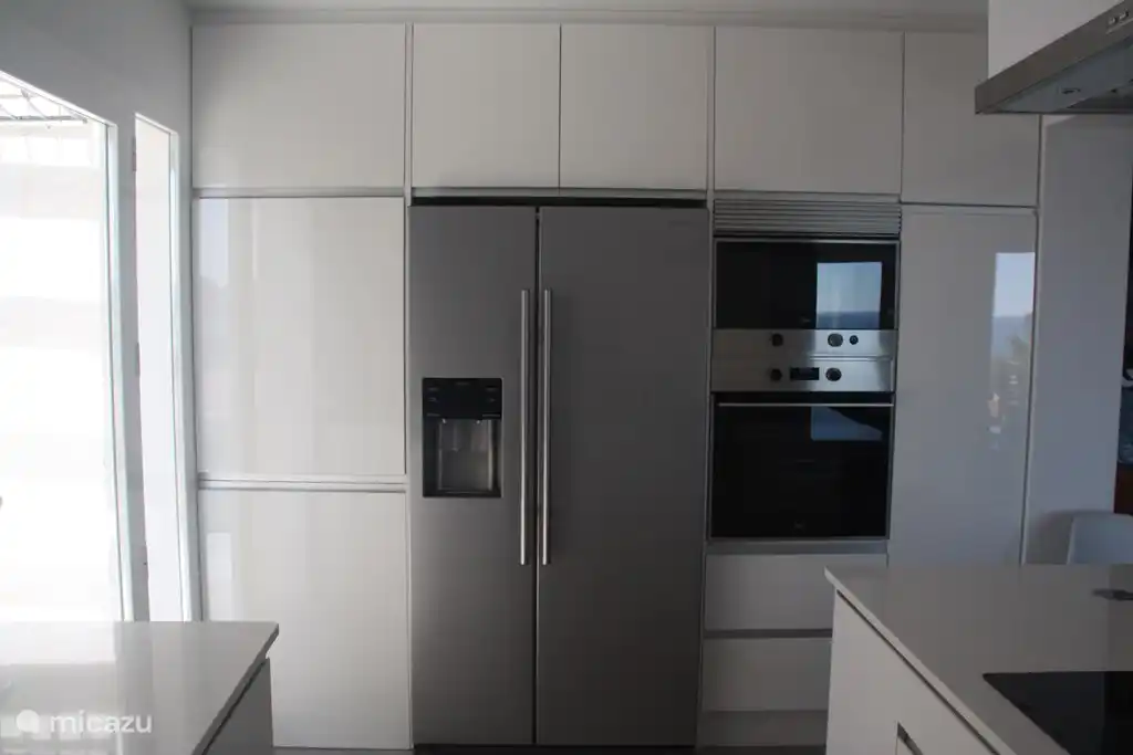 kitchen with American fridge with ice cubes maker, freshly purified water, oven, microwave, induction plate, washing machine, dryer and dishwasher