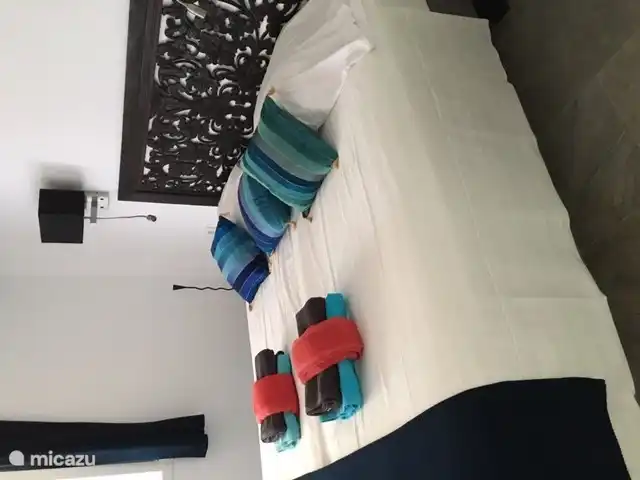 Tweepersoons slaapkamer met grote vaste kast