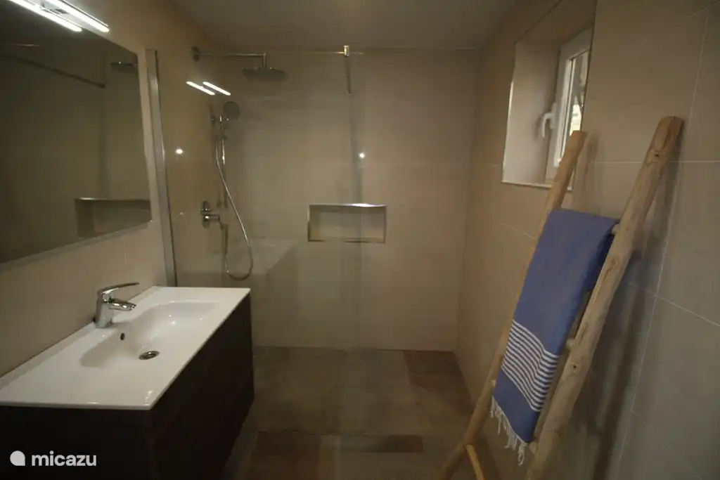 walk-in shower with rain shower and separate hand shower