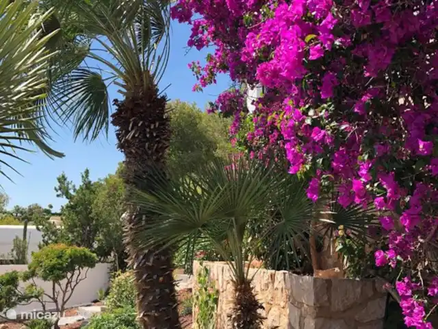 El Xoriguer en España, Costa Blanca, Altea - villa el jardín