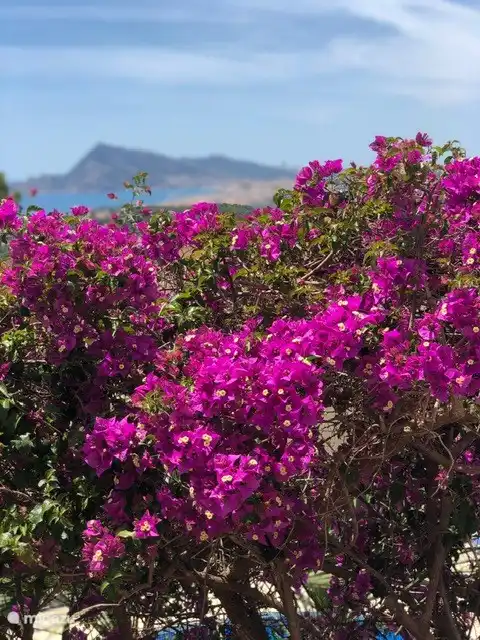 Uitzicht vanaf overdekt balkon