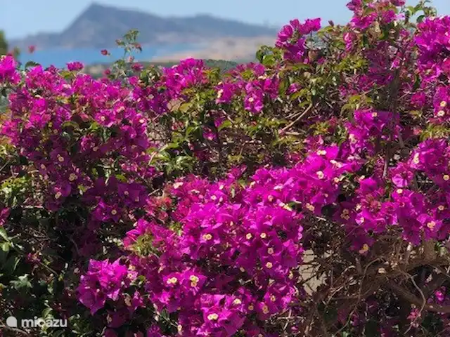 El Xoriguer en España, Costa Blanca, Altea - villa Vista desde el balcón cubierto