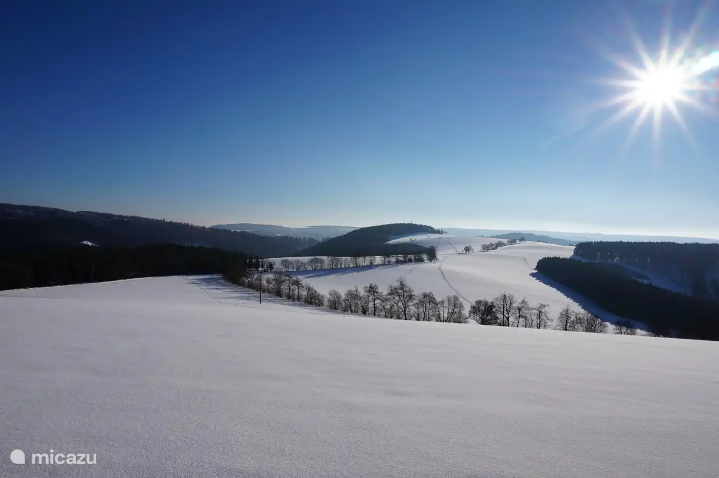 Vue sur les environs immédiats