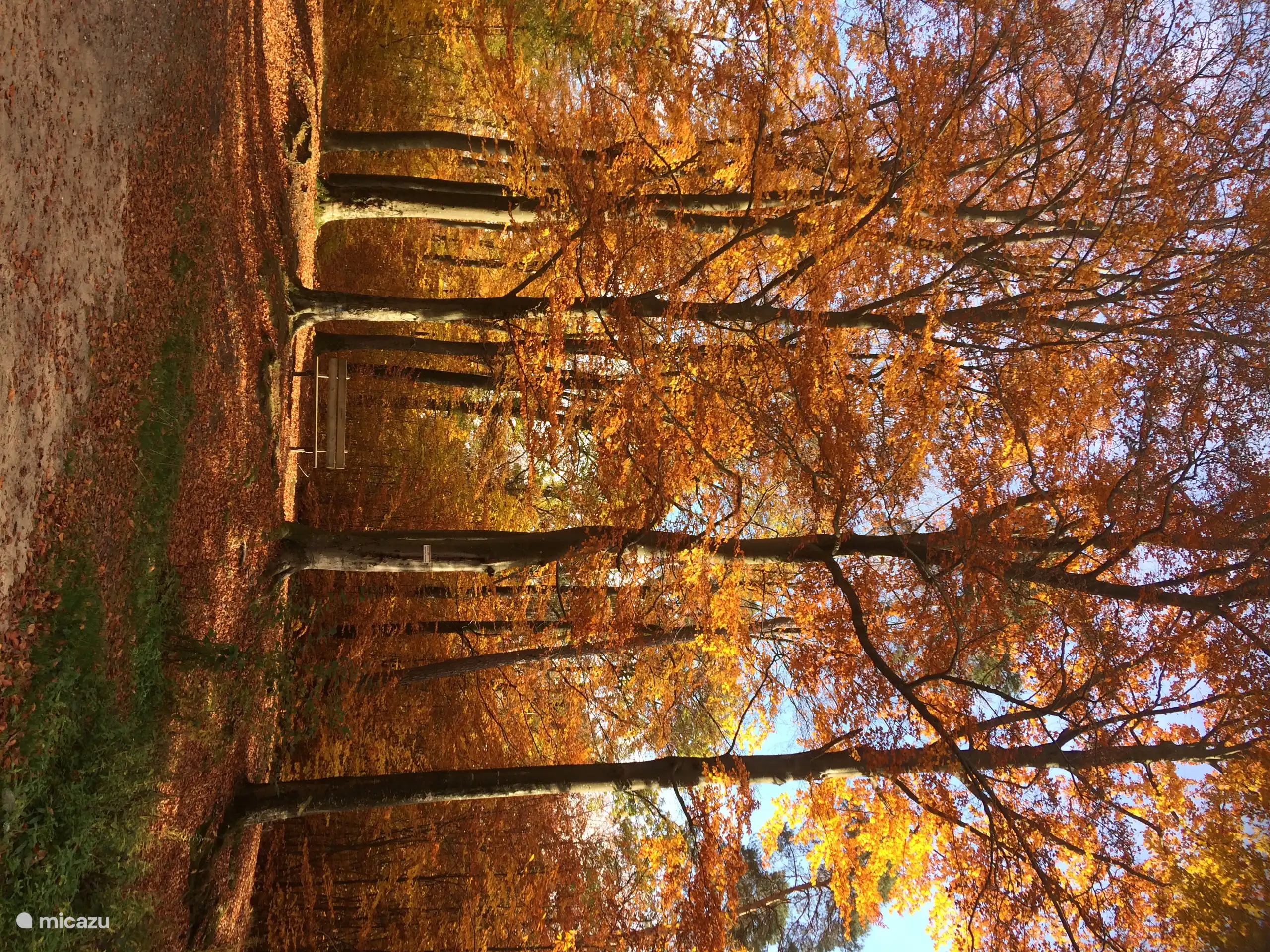 L’automne en Alsace.