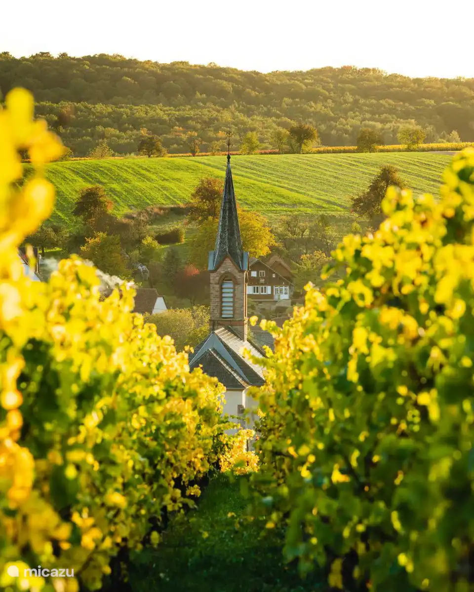 Alentours de Cleebourg
