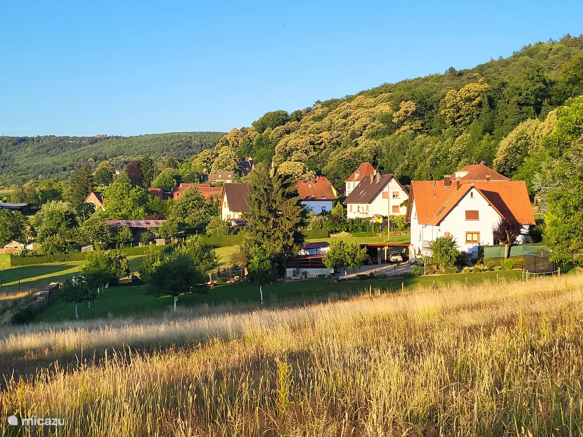 Vue sur le vieux village de Pfaffenbronn