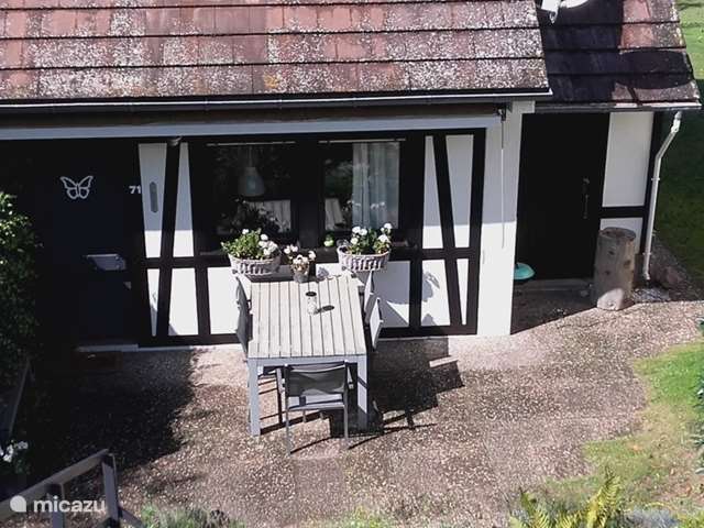 Holiday home in France, Vosges, Lembach-Pfaffenbronn - holiday house Maison Châtaignier nr.71