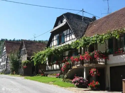 Une ferme à Pfaffenbronn. Dans la région, vous verrez de beaux bacs à fleurs remplis partout. 