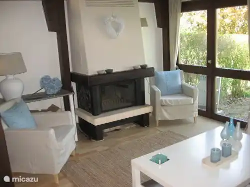 Salon avec poêle à bois.