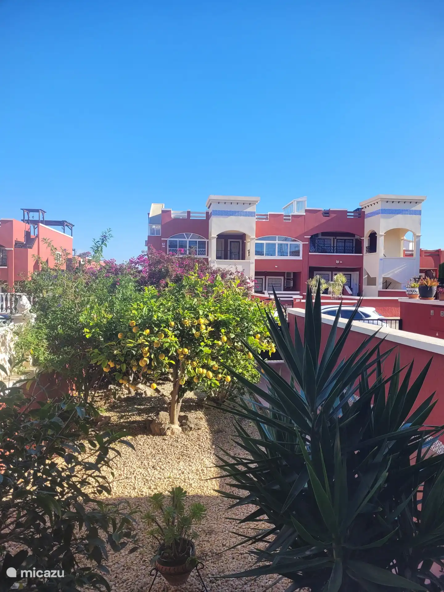 From the terrace in front of the house, you can look straight into the front garden.