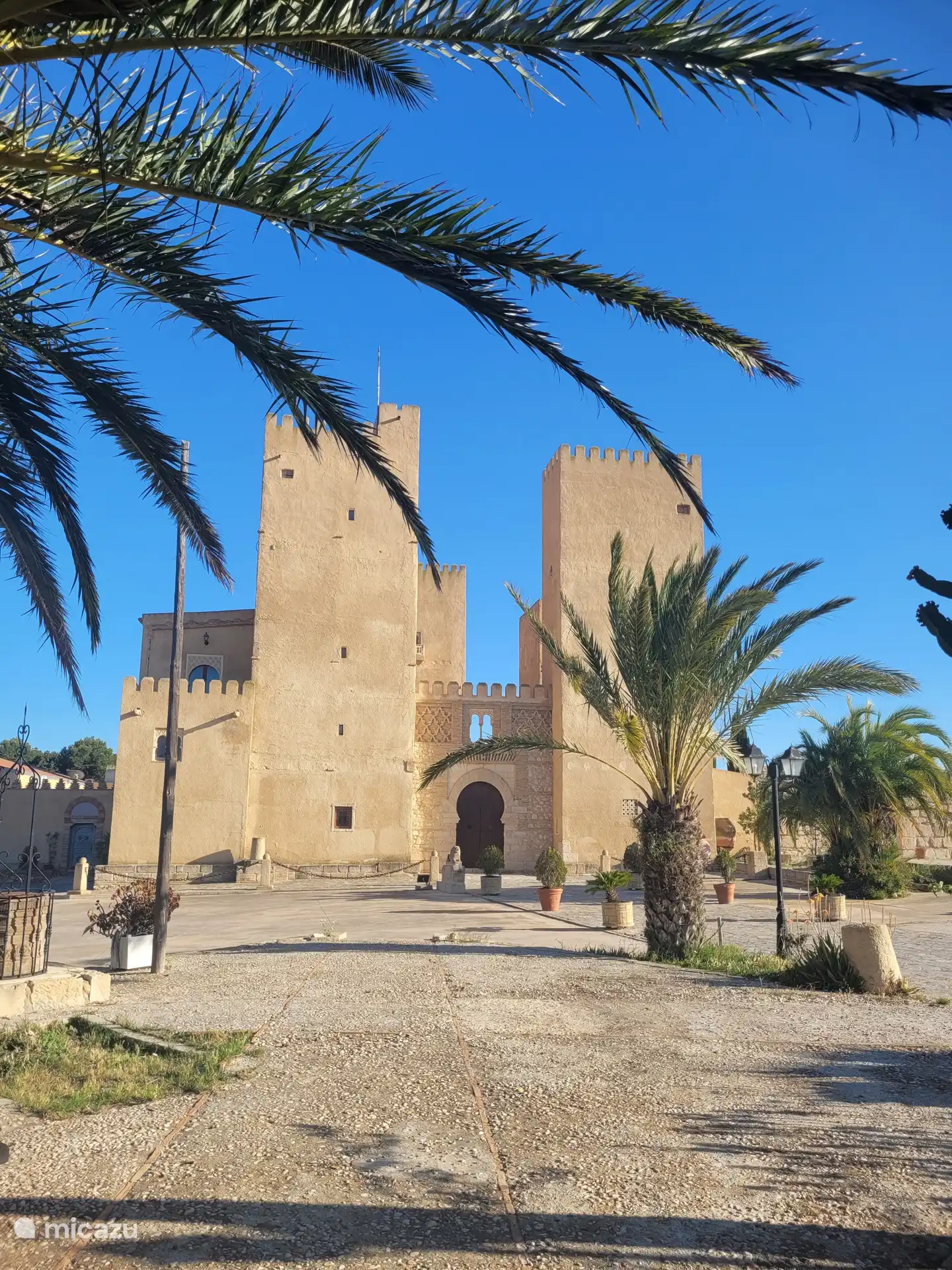 Visit the majesty San Miguel des Salinas