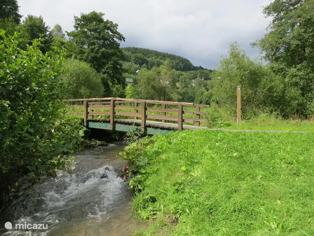 Stream Kurpark Nordenau