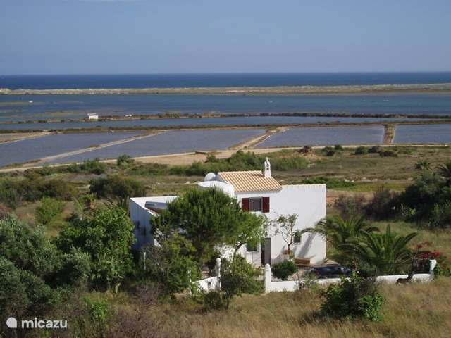 Holiday home Portugal, Algarve, Moncarapacho - holiday house Ria formosa, lagoons and the ocean…