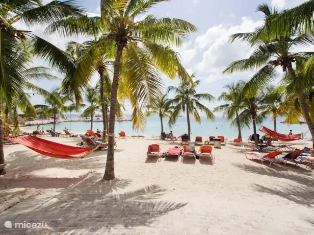 Blue Bay Zeezicht Appartement huren in Curaçao, Curacao-Midden, Blue Bay - appartement Blue Bay Beach, gratis toegankelijk voor onze gasten