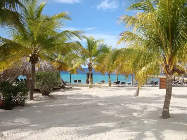 Blue Bay Zeezicht Appartement huren in Curaçao, Curacao-Midden, Blue Bay - appartement Blue Bay Beach, gratis toegang voor onze gasten