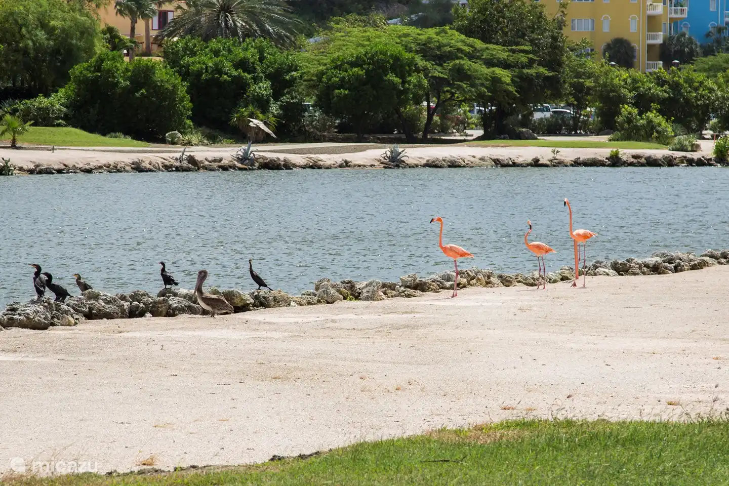 uitzicht vanaf de golfbaan