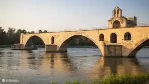 La cité papale d'Avignon à une demi-heure.